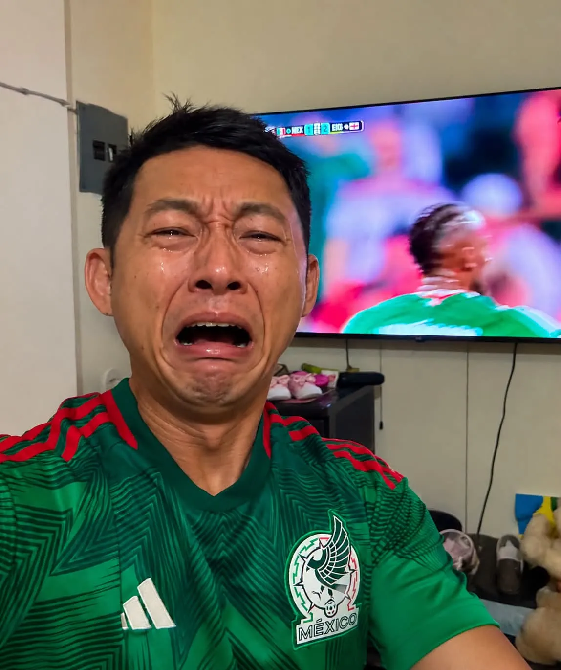 Shin Fujiyama camisa de México