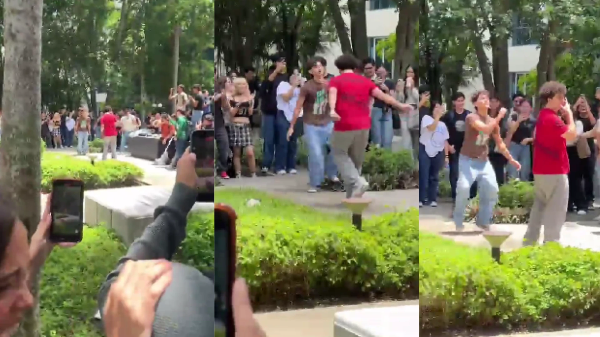 Imágenes de batalla de Farmear aura