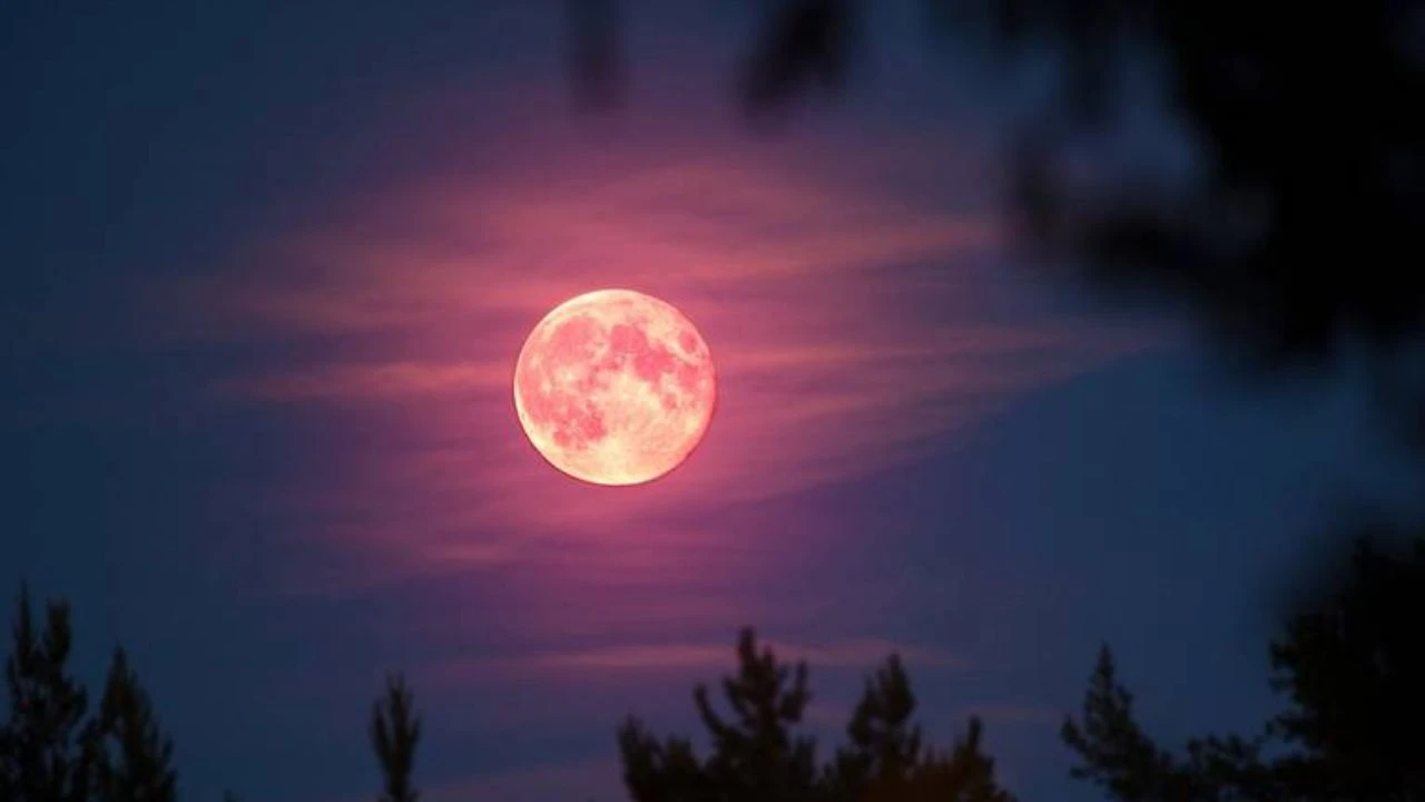 Imagen de luna rosa