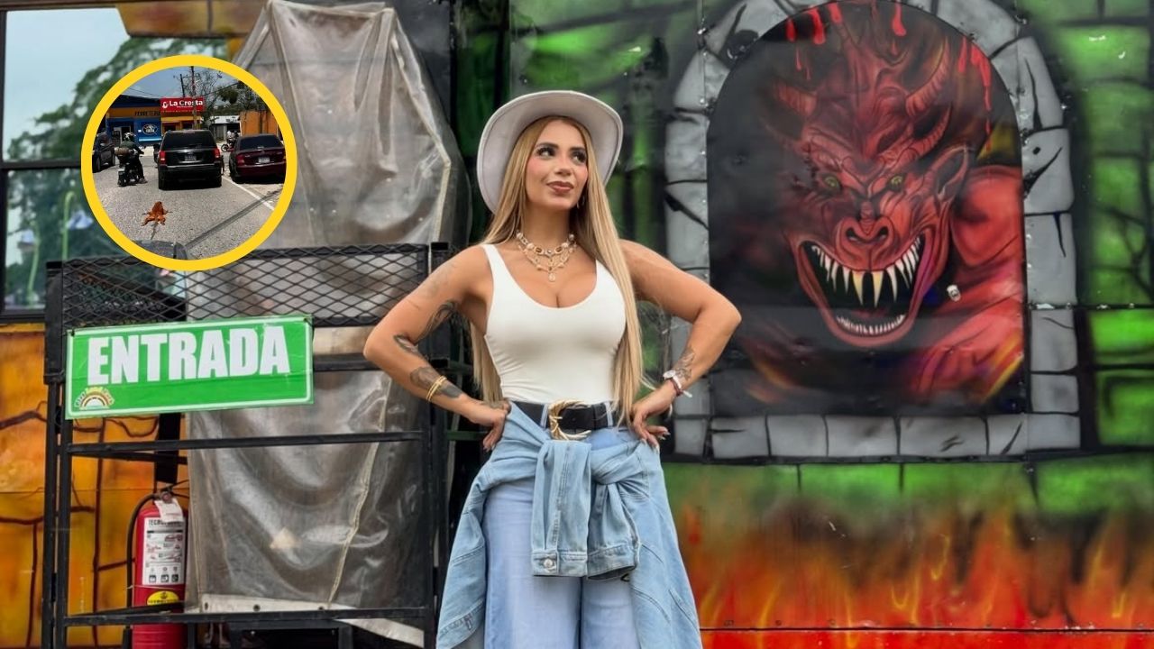 Jennifer Funes reacciona tras caso de maltrato animal en Choloma