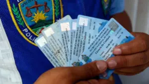 Imagen de Paso a paso para recuperar el permiso de conducir por robo o extravío