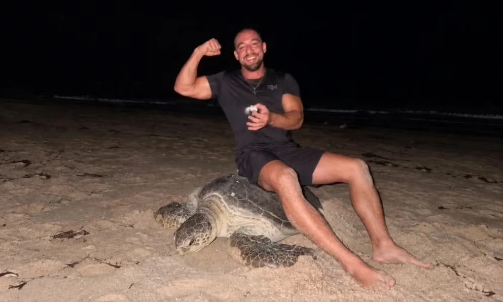 Imagen de Vadym Oleynik sobre una tortuga marina 