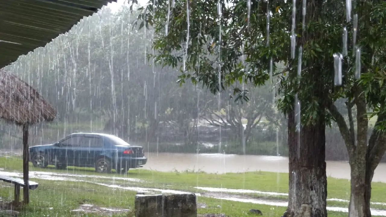 Imagen de una zona bajo la lluvia.