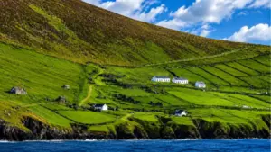 Imagen de Buscan voluntarios para vivir 6 meses gratis en Irlanda: requisitos para aplicar