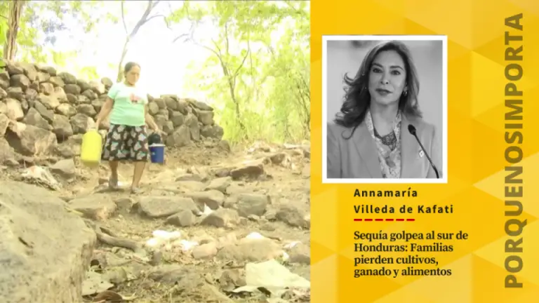 Sequía golpea al sur de Honduras: Familias pierden cultivos, ganado y alimentos