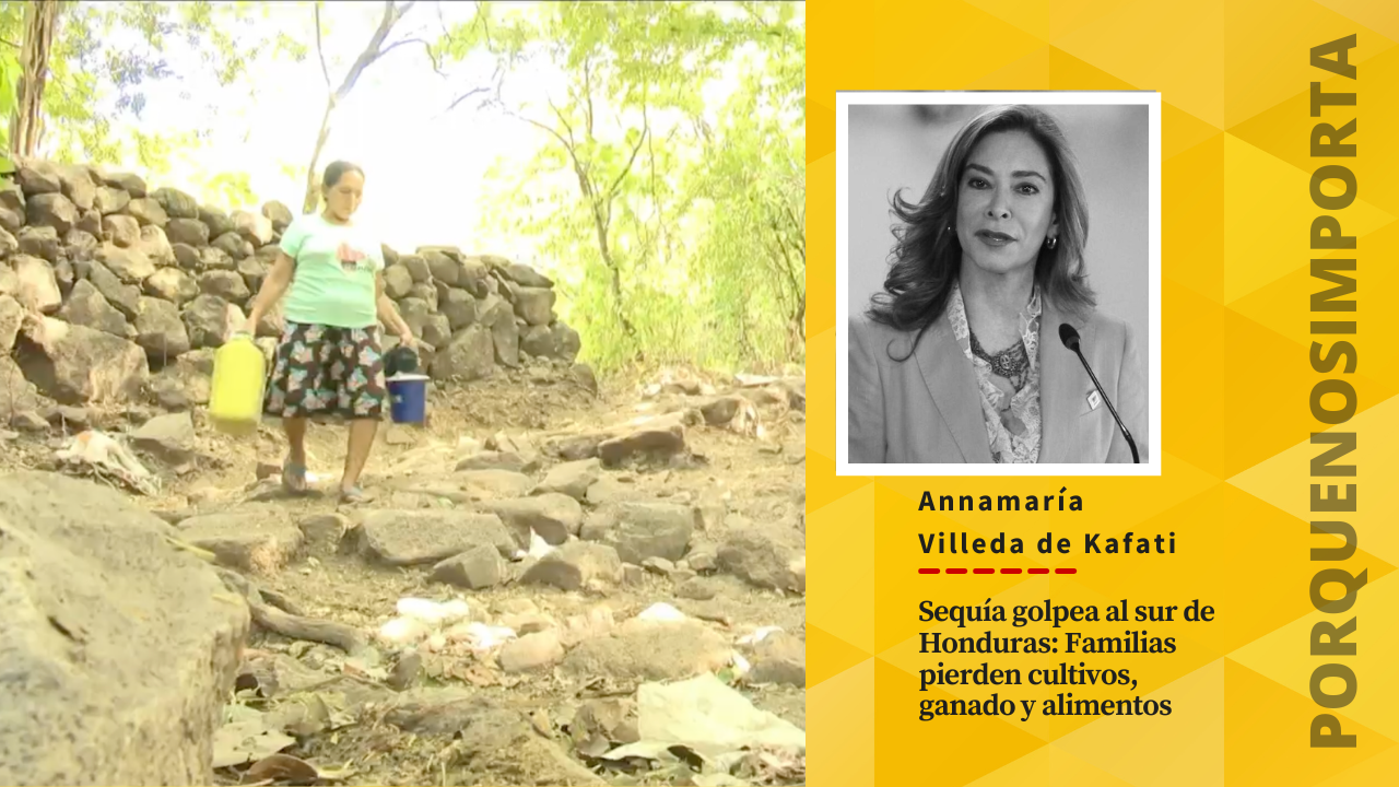 Sequía golpea al sur de Honduras: Familias pierden cultivos, ganado y alimentos