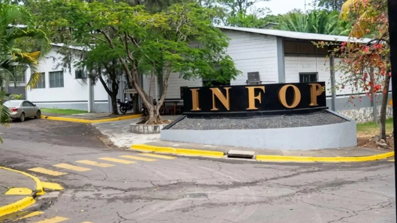 Imagen Principal de Nota: Cursos gratis del INFOP: estas son las capacitaciones que inician en noviembre