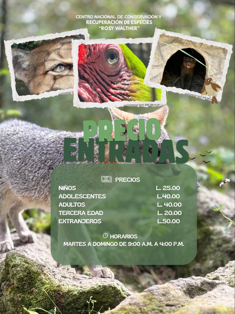 Zoológico Rosy Walther:
